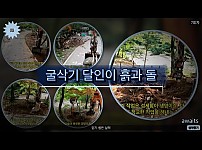 설악중기: 굴삭기 달인의 정교한 작업! 